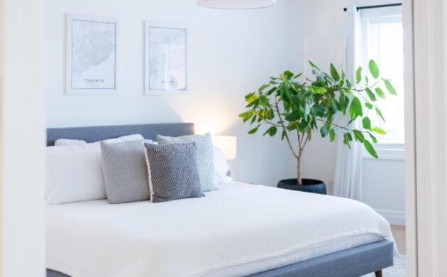 Brody - Houses Feb 2026-108